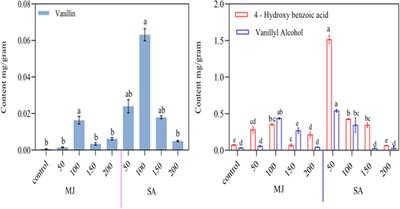 Metabolic engineering of hairy root cultures in Beta vulgaris for enhanced production of vanillin, 4-hydroxybenzoic acid, and vanillyl alcohol